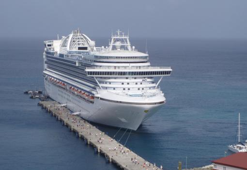El Crown Princess atracado en el puerto de Grenada (Caribe)